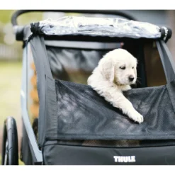 Thule Courier Kinderanhänger -Fahrradladen 451013